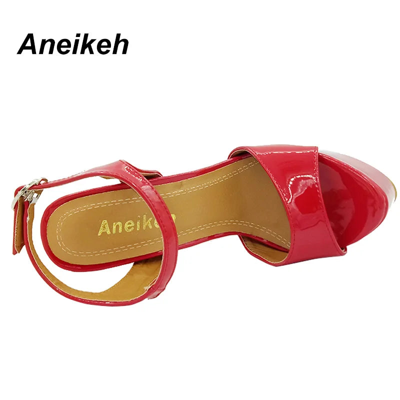 Aneikeh Hot Sales 2024 Summer Style Sexy 16cm Women Sandals High Heels Open Toe Buckles Nightclub Party Shoe Black Big Size 15