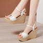 2024 New Open Head Platform Sandals Women Shoes 2024 Bow High Heels Wedges Sandals Ladies Elegant Office Sandals Gold